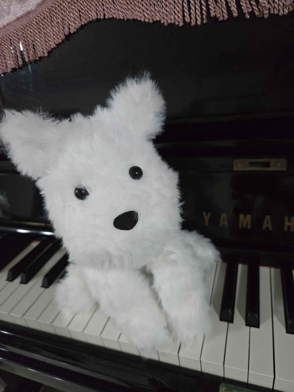 Dog plusie