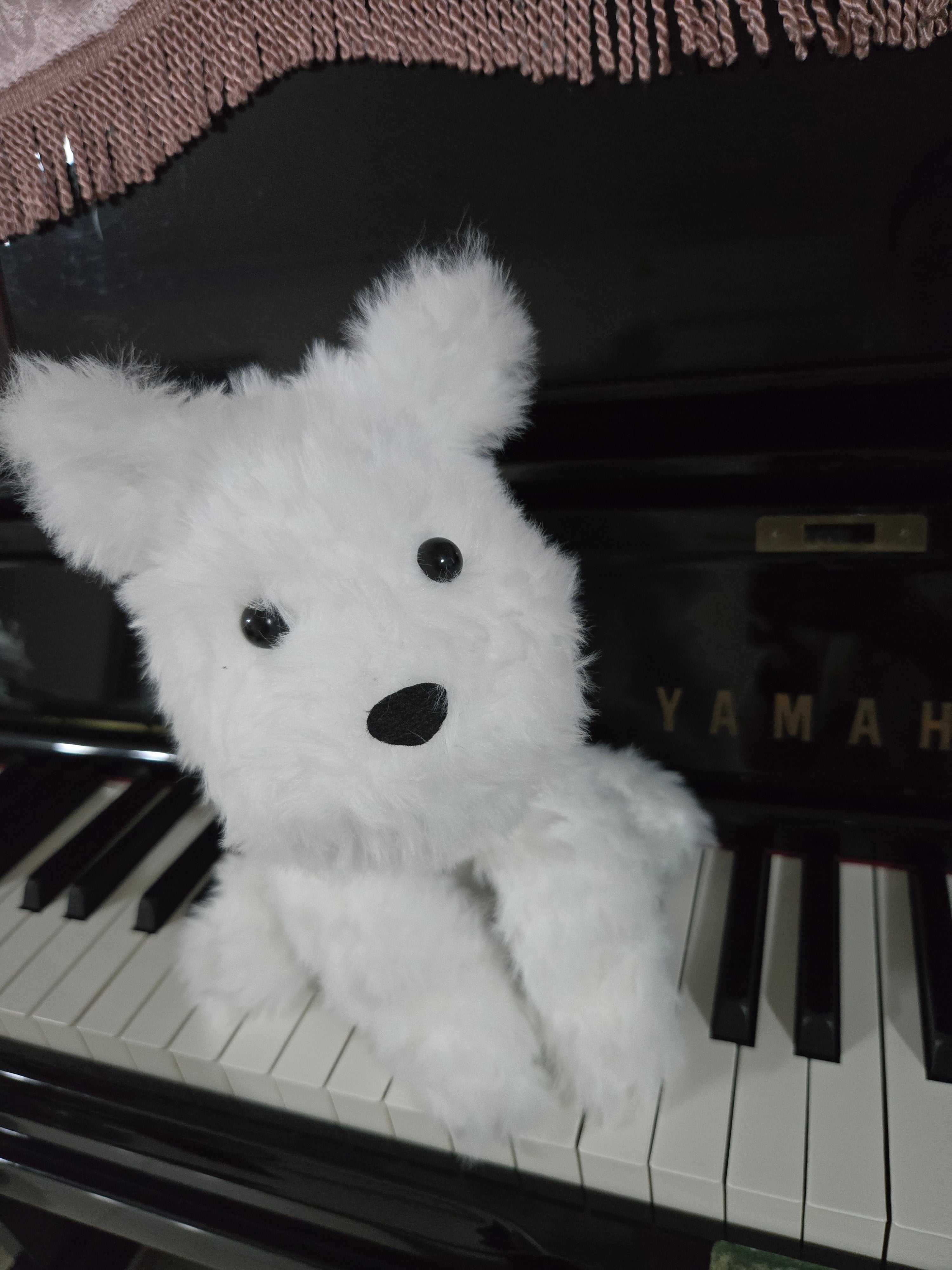 Dog plusie